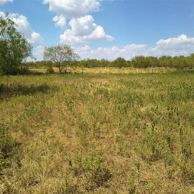 3601 Bluhm Road, West TX 76691 - Photo 5