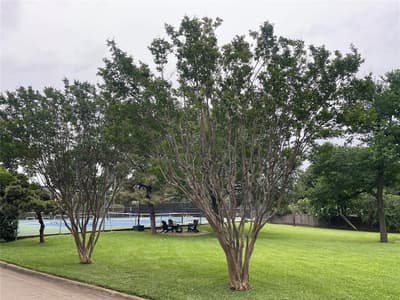6949 Helsem Way # 131, Dallas TX 75230 - Photo 4
