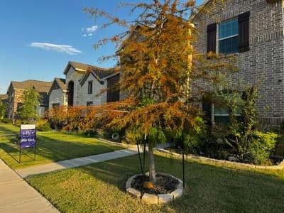 1120 Western Yarrow Avenue, Justin TX 76247 - Photo 2