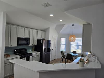 2529 Persimmon Drive, Little Elm TX 75068 - Photo 3