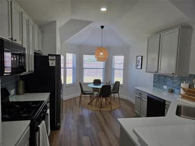 2529 Persimmon Drive, Little Elm TX 75068 - Photo 4