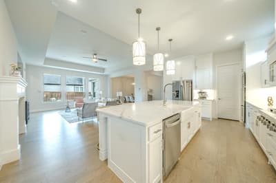 1518 Viridian Park Lane, Arlington TX 76005 - Photo 4