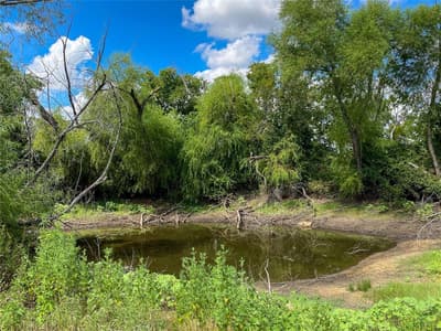 1700 Don Lee Road, Joshua TX 76058 - Photo 4