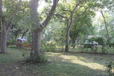 8473 Stults Road, Dallas TX 75243 - Photo 5