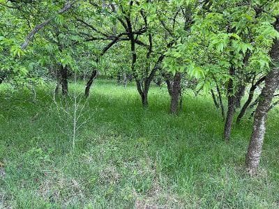 1980 Fm 933, Aquilla TX 76622 - Photo 3