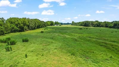 195 County Road 2468, Winnsboro TX 75494 - Photo 3
