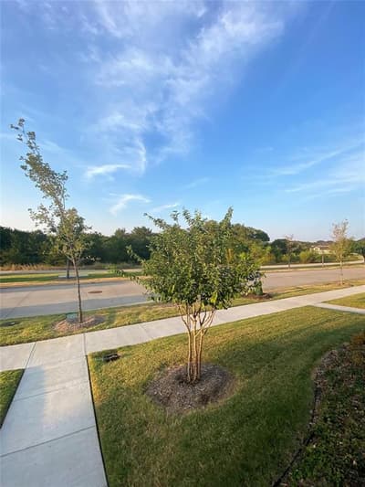 7297 Sacaton Trail, Frisco TX 75033 - Photo 2