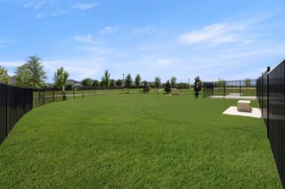 2523 Brunswick Way, Allen TX 75013 - Photo 4