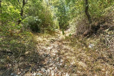 600 Cedar Canyon Road, Crawford TX 76638 - Photo 2