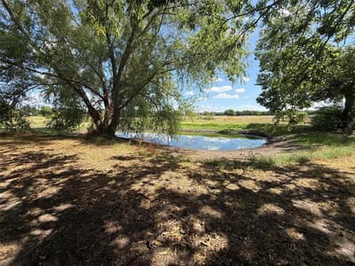 4411 Fm 100, Honey Grove TX 75446 - Photo 5