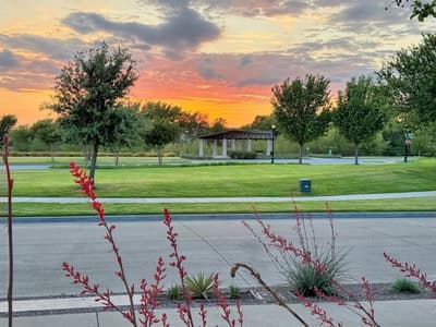 4428 Sunflower Lane, Celina TX 75078 - Photo 4