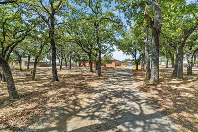 3520 Old Dennis Road, Weatherford TX 76087 - Photo 4