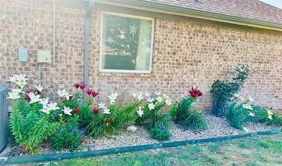 1236 Woodbridge Court, Willow Park TX 76087 - Photo 4
