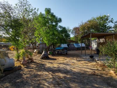 116 County Road 1424, Morgan TX 76671 - Photo 3