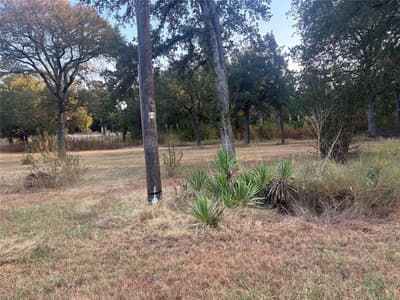 919 E Morgan Street, Denison TX 75021 - Photo 4