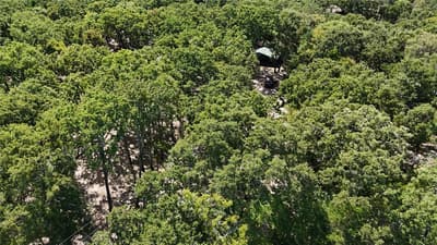 9972 County Road 2434, Terrell TX 75160 - Photo 5