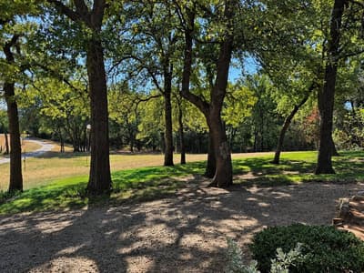 568 County Road 1771, Chico TX 76431 - Photo 4