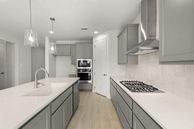 17217 Musial Court, Justin TX 76247 - Photo 4