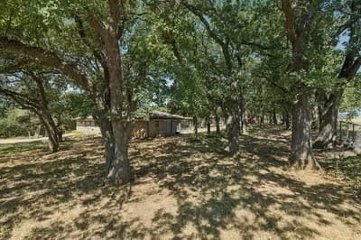 6009 County Road 707, Alvarado TX 76009 - Photo 5