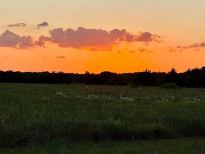 20132 County Road 818, Farmersville TX 75442 - Photo 2