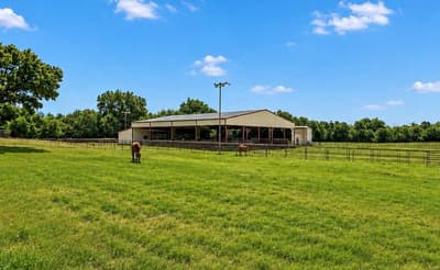 2121 Old Dicey Road, Weatherford TX 76085 - Photo 3