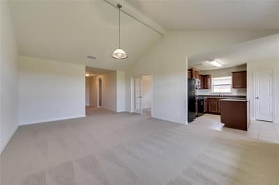 303 Soap Tree Drive, Princeton TX 75407 - Photo 4