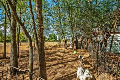267 Delphia Drive, Denison TX 75021 - Photo 3