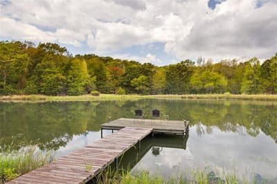 1522 Fm 17, Grand Saline TX 75140 - Photo 3