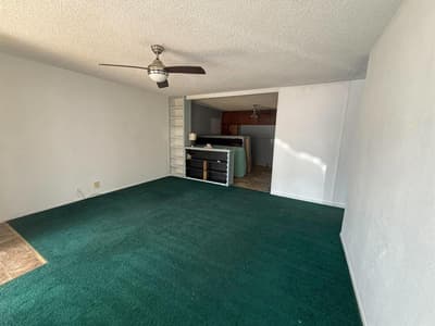1055 W Star Street, Denison TX 75020 - Photo 4