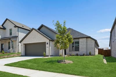 3213 Dahlia Lane, Gunter TX 75058 - Photo 5