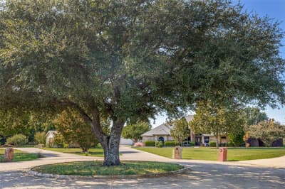 500 The Crossings Place, Lowry Crossing TX 75069 - Photo 3