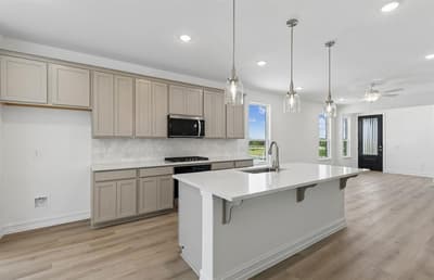 1429 Holmes Street, Celina TX 75009 - Photo 4