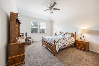 1101 Crepe Myrtle Lane, Anna TX 75409 - Photo 3