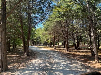 180 E Greer Road, Sadler TX 76264 - Photo 4
