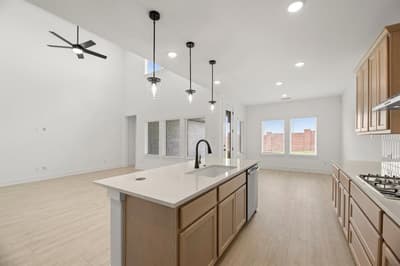 941 Freese Street, Justin TX 76247 - Photo 4