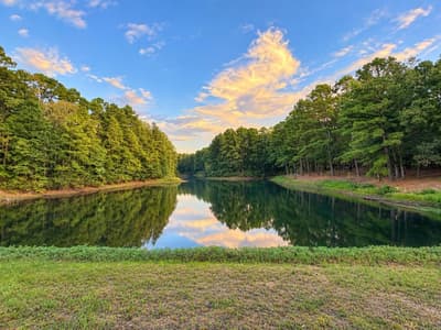 320 PR 8585, Winnsboro TX 75494 - Photo 2