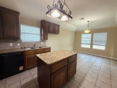 2803 Arabian Lane, Celina TX 75009 - Photo 3