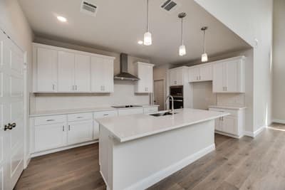 1060 Birdie Street, Gunter TX 75058 - Photo 2