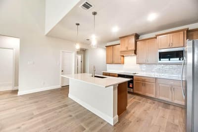 1050 Birdie Street, Gunter TX 75058 - Photo 2