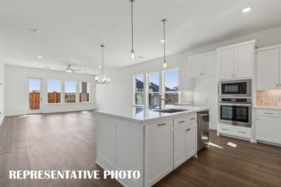 5351 Roselyn Way, McKinney TX 75070 - Photo 5