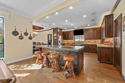 1312 Chippewa Drive, Plano TX 75093 - Photo 3