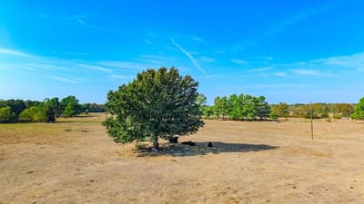 7161 County Road 3223, Lone Oak TX 75453 - Photo 2