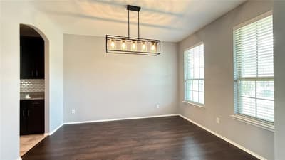 1009 Bruni Court, Aubrey TX 76227 - Photo 3