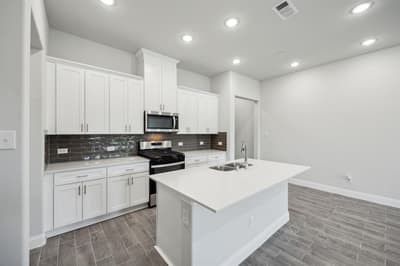 924 Heart Reef Road, Plano TX 75075 - Photo 3