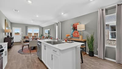 537 STERLING THICKET Lane, Denton TX 76259 - Photo 4