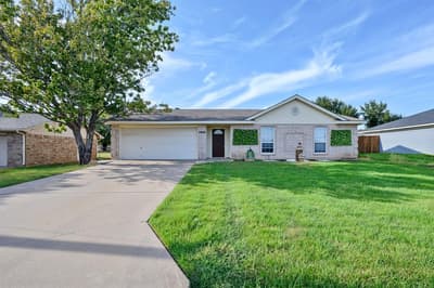 3904 Country Meadows Road, Granbury TX 76049 - Photo 3