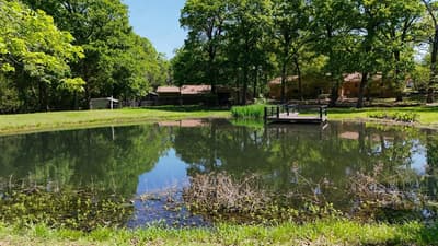125 Harrell Street, Gun Barrel City TX 75156 - Photo 5