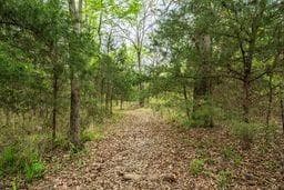 12770 E US 175 E, Larue TX 75770 - Photo 5