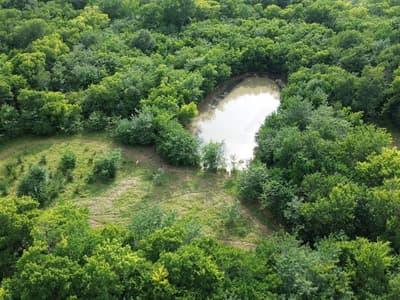 4081 Fm 2736, Campbell TX 75422 - Photo 2