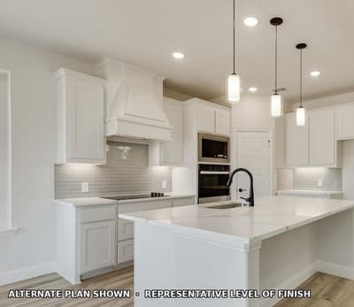 452 McAlpine Drive, Springtown TX 76082 - Photo 3